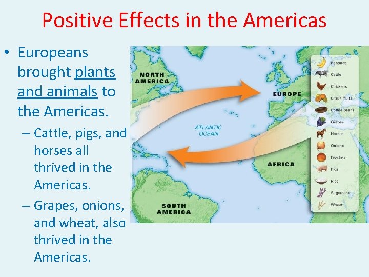 Positive Effects in the Americas • Europeans brought plants and animals to the Americas.