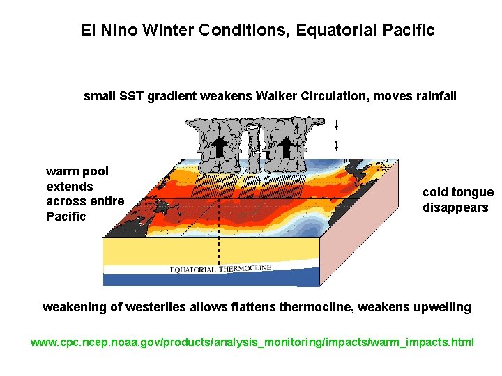 El Nino Winter Conditions, Equatorial Pacific small SST gradient weakens Walker Circulation, moves rainfall