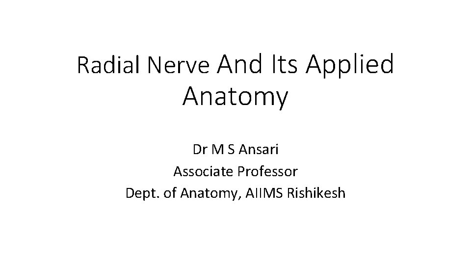Radial Nerve And Its Applied Anatomy Dr M S Ansari Associate Professor Dept. of