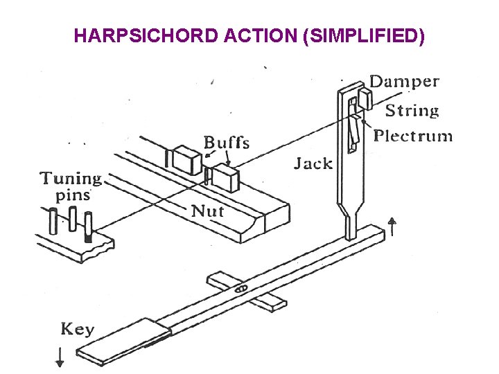 HARPSICHORD ACTION (SIMPLIFIED) HARPSICHORD ACTION (SIMPLIFIED)