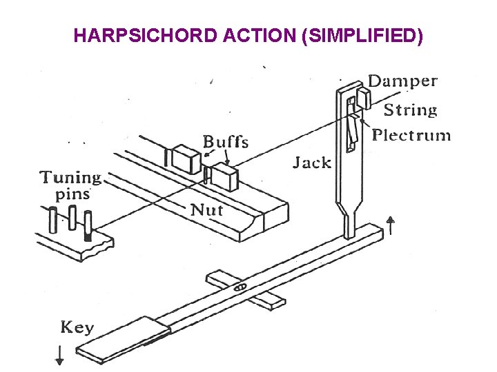HARPSICHORD ACTION (SIMPLIFIED) 