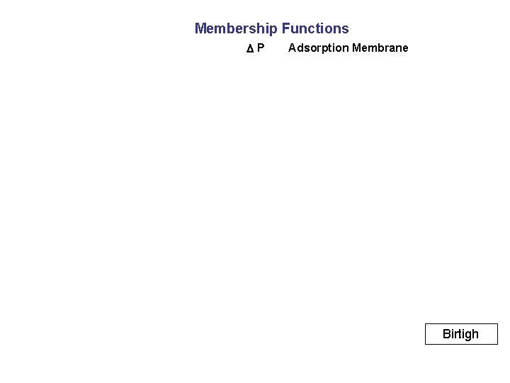 Membership Functions P Adsorption Membrane Birtigh 