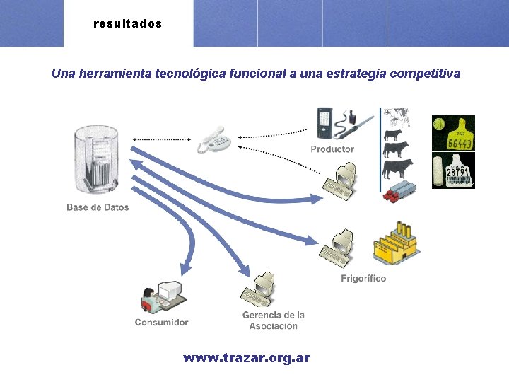 resultados Una herramienta tecnológica funcional a una estrategia competitiva www. trazar. org. ar 