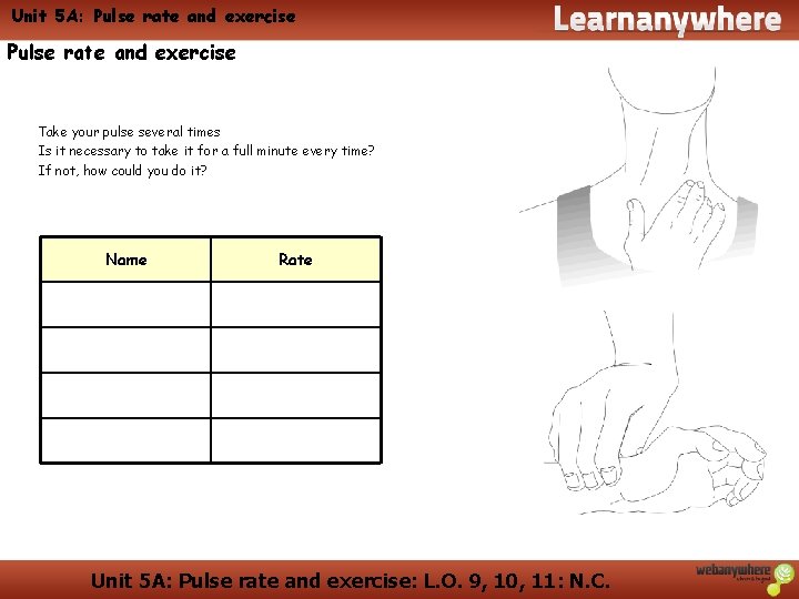 Unit 5 A: Pulse rate and exercise Take your pulse several times Is it Unit 5 A: Pulse rate and exercise Take your pulse several times Is it
