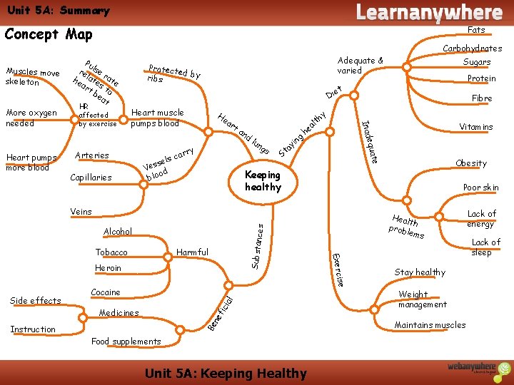 Unit 5 A: Summary Concept Map Muscles move skeleton Pu re lse he late Unit 5 A: Summary Concept Map Muscles move skeleton Pu re lse he late