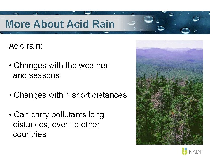 More About Acid Rain Acid rain: • Changes with the weather and seasons •