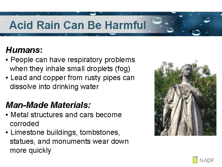 Acid Rain Can Be Harmful Humans: • People can have respiratory problems when they