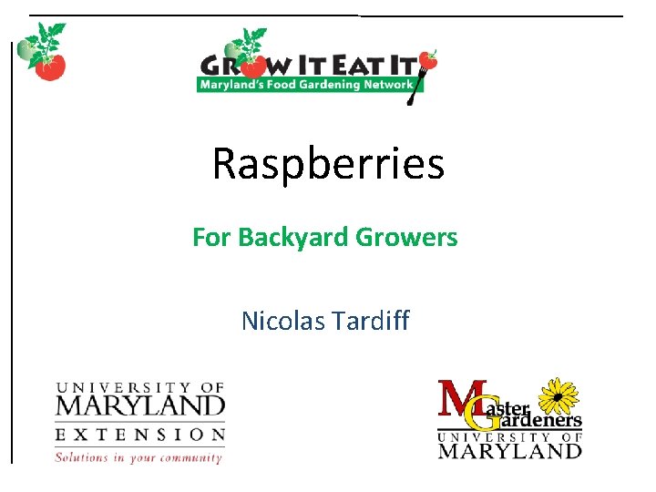 Raspberries For Backyard Growers Nicolas Tardiff 