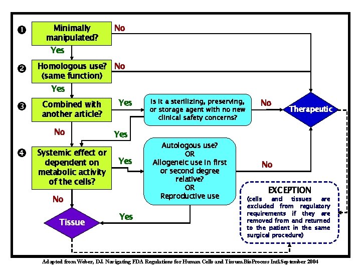  Minimally manipulated? No Yes Homologous use? No (same function) Yes Combined with another