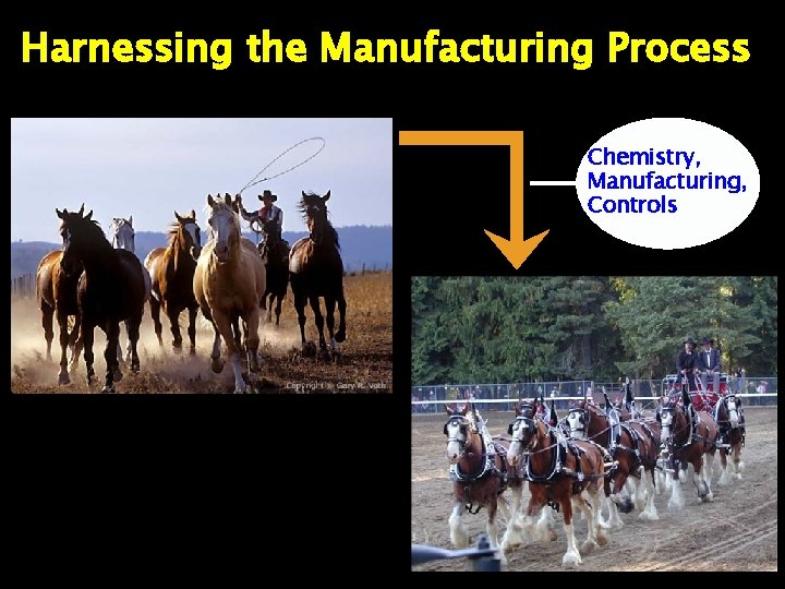 Harnessing the Manufacturing Process Chemistry, Manufacturing, Controls 