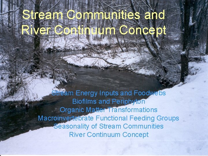 Stream Communities and River Continuum Concept Stream Energy Inputs and Foodwebs Biofilms and Periphyton