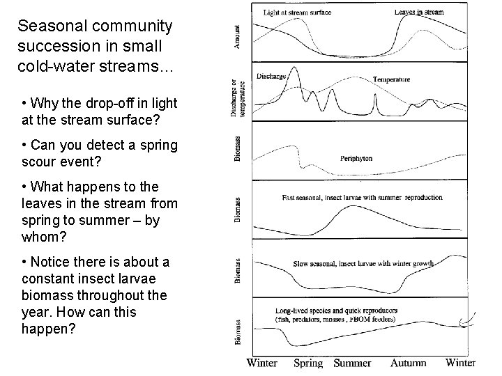 Seasonal community succession in small cold-water streams… • Why the drop-off in light at
