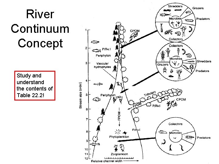 River Continuum Concept Study and understand the contents of Table 22. 2! 
