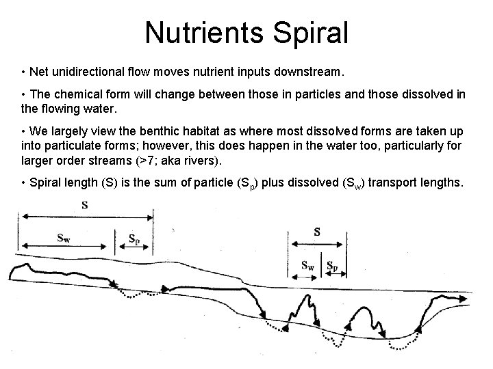 Nutrients Spiral • Net unidirectional flow moves nutrient inputs downstream. • The chemical form