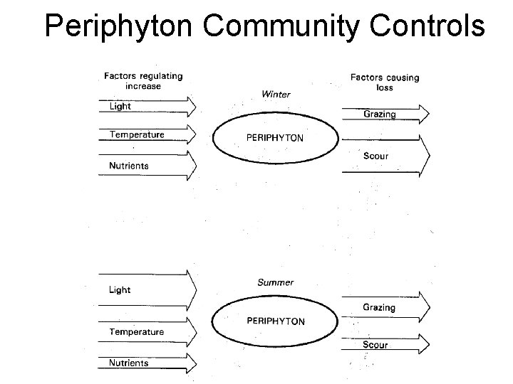 Periphyton Community Controls 