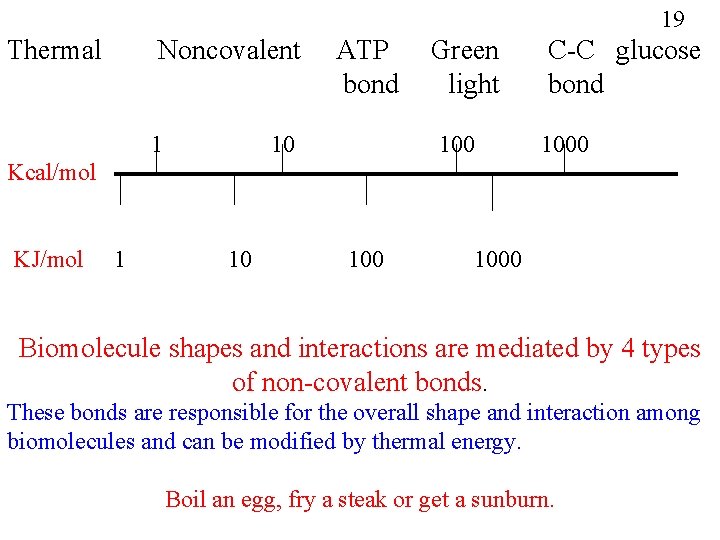 19 Thermal Noncovalent 1 ATP bond 10 Green light 100 C-C glucose bond 1000 19 Thermal Noncovalent 1 ATP bond 10 Green light 100 C-C glucose bond 1000