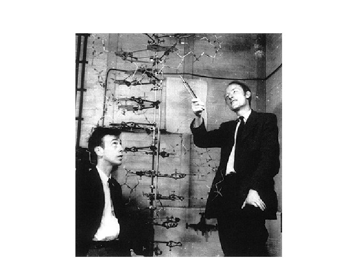 Double helix slide Double helix slide