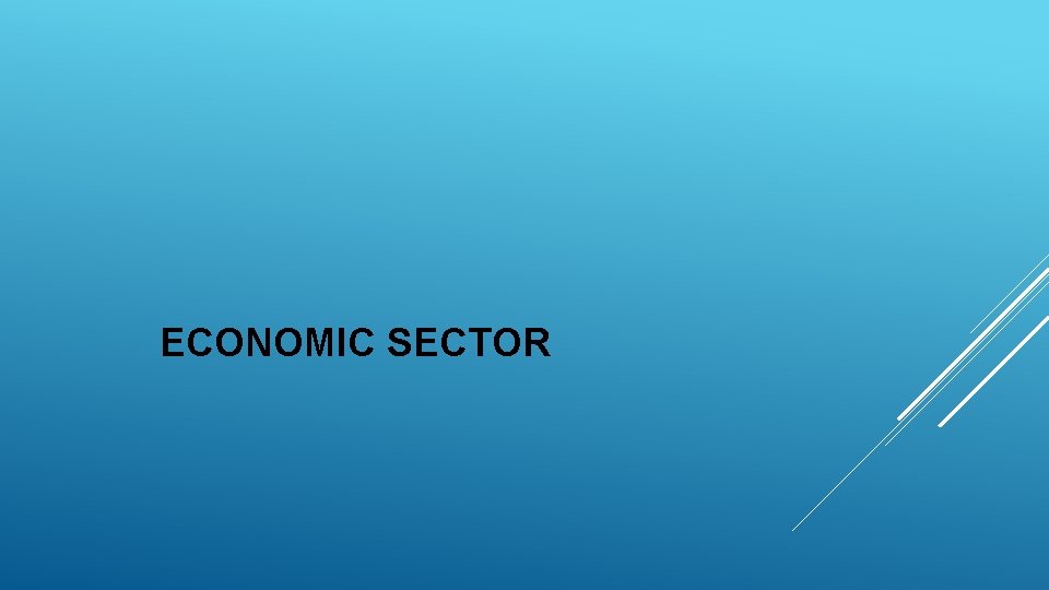 ECONOMIC SECTOR 