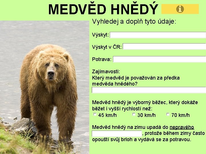 MEDVĚD HNĚDÝ Vyhledej a doplň tyto údaje: Výskyt v ČR: Potrava: Zajímavosti: Který medvěd