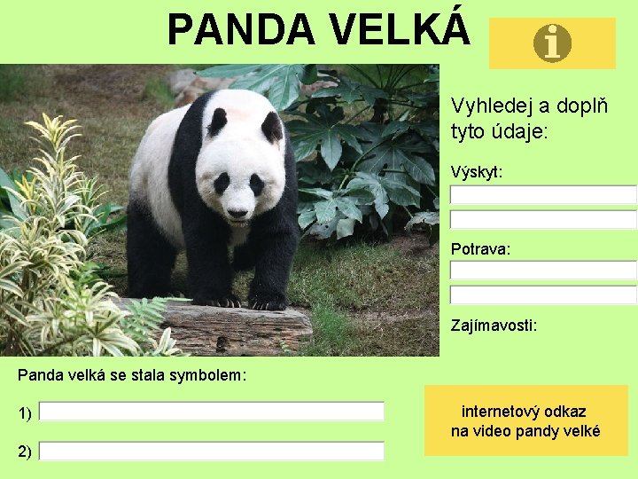 PANDA VELKÁ Vyhledej a doplň tyto údaje: Výskyt: Potrava: Zajímavosti: Panda velká se stala