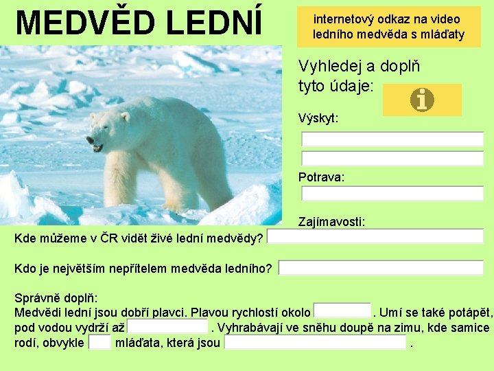 MEDVĚD LEDNÍ internetový odkaz na video ledního medvěda s mláďaty Vyhledej a doplň tyto
