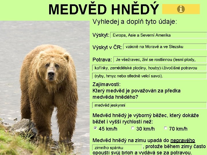 MEDVĚD HNĚDÝ Vyhledej a doplň tyto údaje: Výskyt v ČR: Potrava: Zajímavosti: Který medvěd