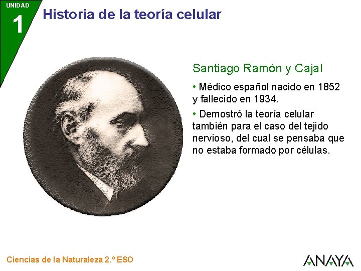 UNIDAD 1 Historia de la teoría celular Santiago Ramón y Cajal • Médico español