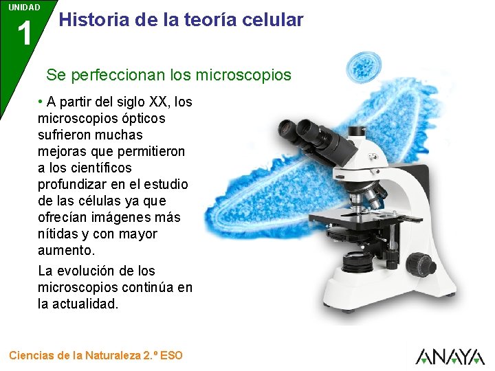 UNIDAD 1 Historia de la teoría celular Se perfeccionan los microscopios • A partir