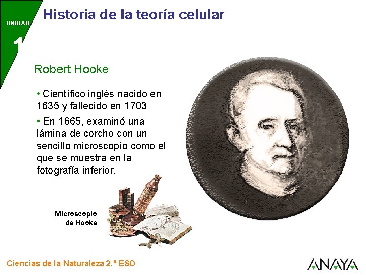 UNIDAD Historia de la teoría celular 1 Robert Hooke • Científico inglés nacido en