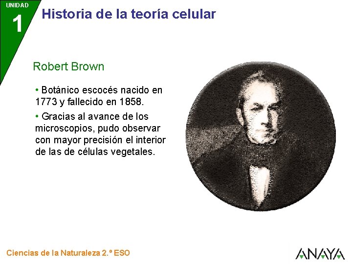 UNIDAD 1 Historia de la teoría celular Robert Brown • Botánico escocés nacido en