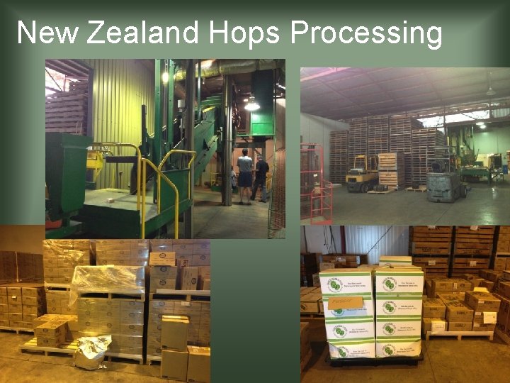 New Zealand Hops Processing 