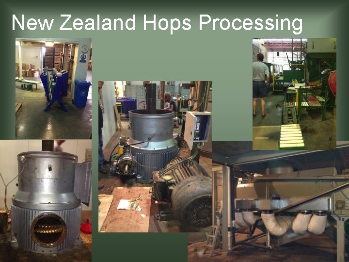 New Zealand Hops Processing 