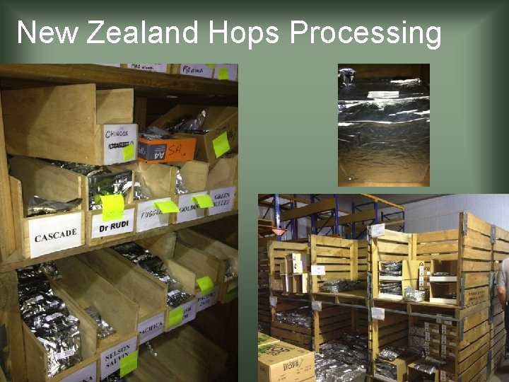 New Zealand Hops Processing 