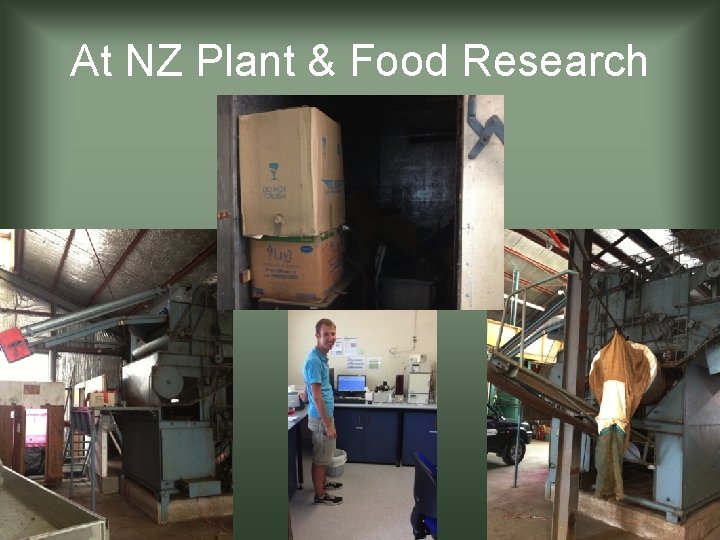 At NZ Plant & Food Research 