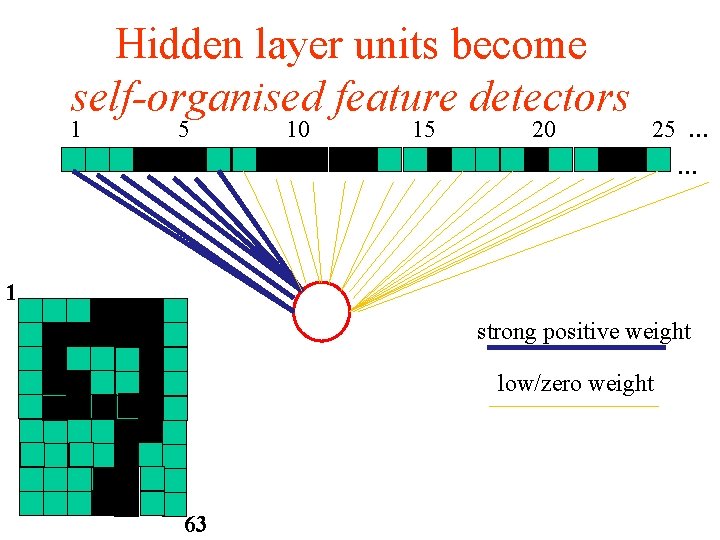 Hidden layer units become self-organised feature detectors 1 5 10 15 20 25 …