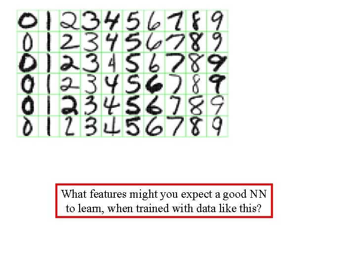 What features might you expect a good NN to learn, when trained with data