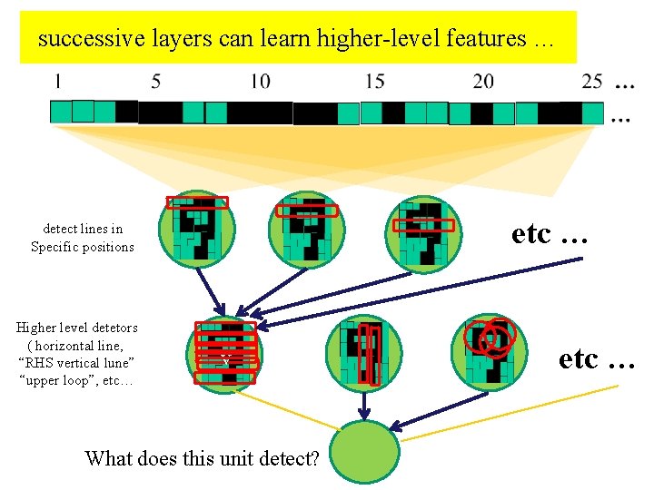 successive layers can learn higher-level features … etc … detect lines in Specific positions