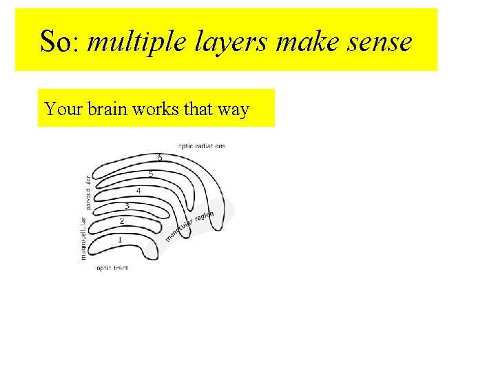 So: multiple layers make sense Your brain works that way 