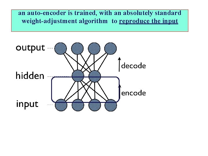 an auto-encoder is trained, with an absolutely standard weight-adjustment algorithm to reproduce the input