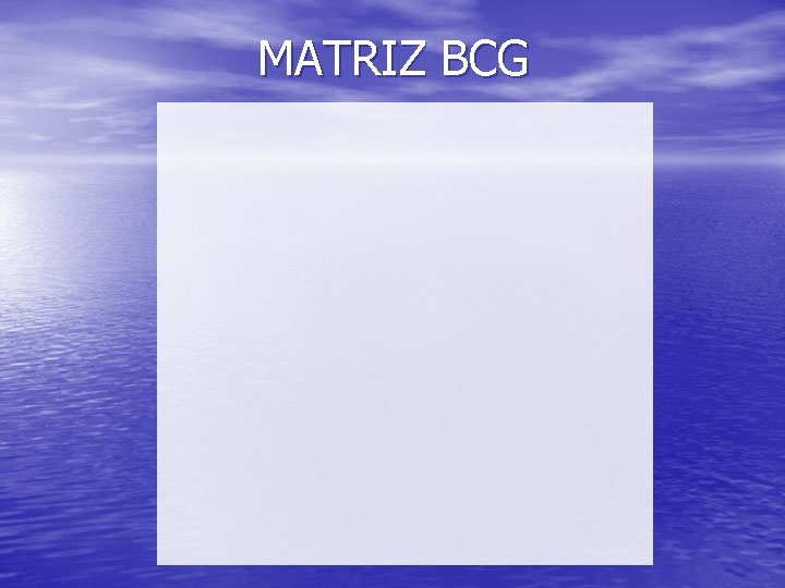 MATRIZ BCG 