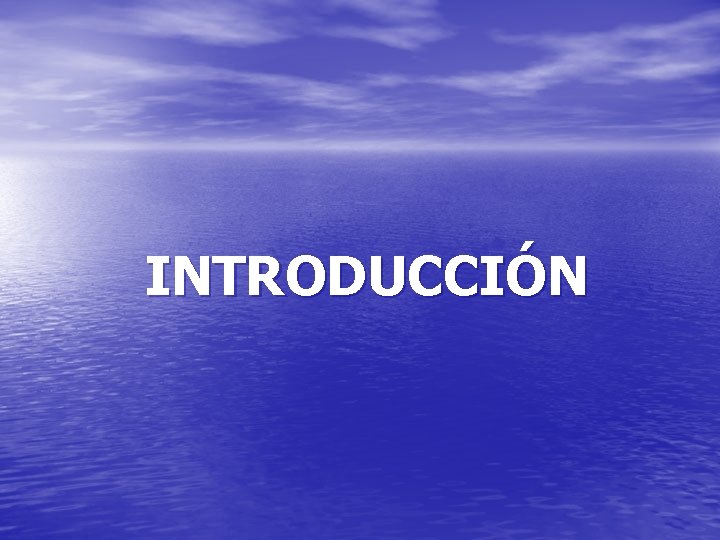 INTRODUCCIÓN 