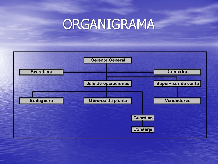 ORGANIGRAMA 