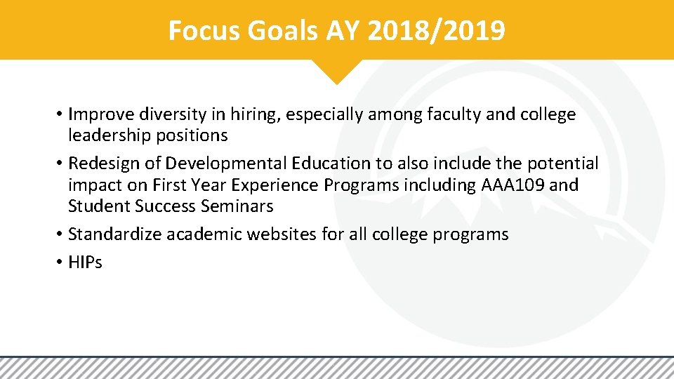 Focus Goals AY 2018/2019 • Improve diversity in hiring, especially among faculty and college