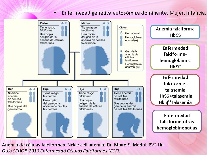 • Enfermedad genética autosómica dominante. Mujer, infancia. Anemia falciforme Hb. SS Enfermedad falciformehemoglobina • Enfermedad genética autosómica dominante. Mujer, infancia. Anemia falciforme Hb. SS Enfermedad falciformehemoglobina