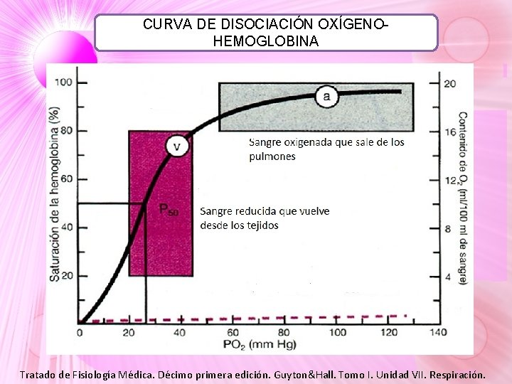 CURVA DE DISOCIACIÓN OXÍGENOHEMOGLOBINA Tratado de Fisiología Médica. Décimo primera edición. Guyton&Hall. Tomo I. CURVA DE DISOCIACIÓN OXÍGENOHEMOGLOBINA Tratado de Fisiología Médica. Décimo primera edición. Guyton&Hall. Tomo I.