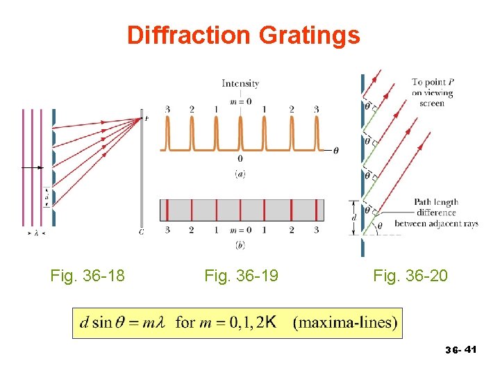 Diffraction Gratings Fig. 36 -18 Fig. 36 -19 Fig. 36 -20 36 - 41