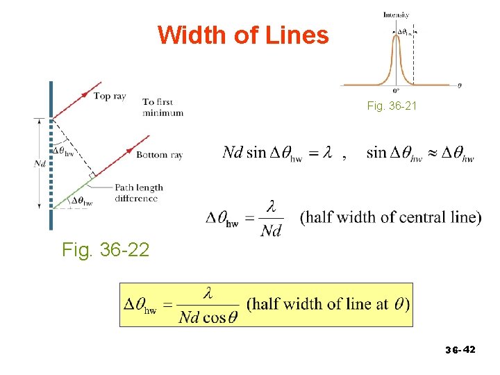 Width of Lines Fig. 36 -21 Fig. 36 -22 36 - 42 