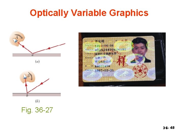 Optically Variable Graphics Fig. 36 -27 36 - 45 