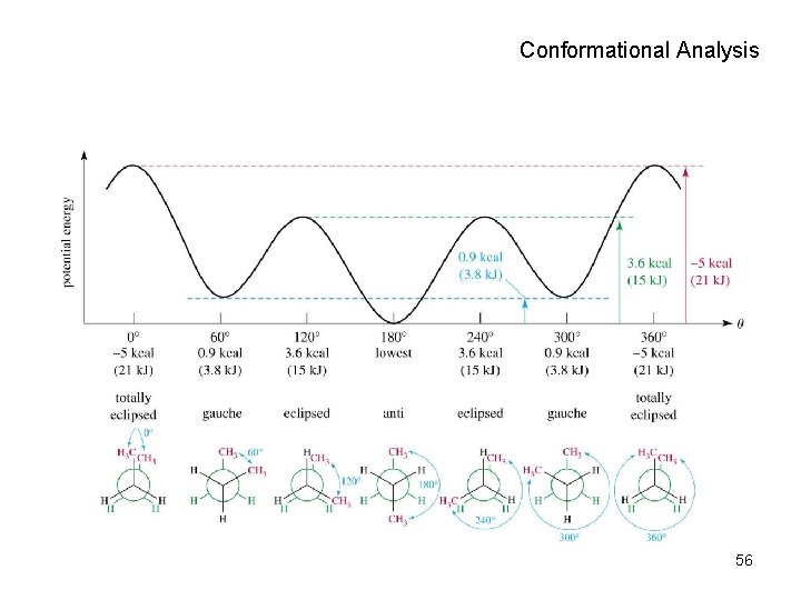 Conformational Analysis 56 