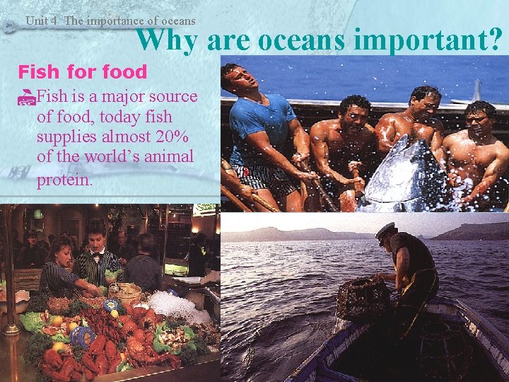 Unit 4 The importance of oceans Why are oceans important? Fish for food Fish